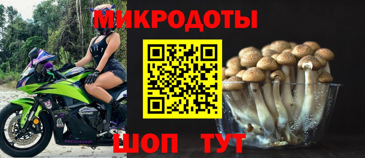Галлюциногенные грибы GOLDEN TEACHER Омск